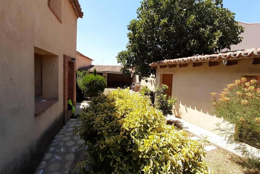 Casa Rural La Paloma - Zamora Manganeses de la Lampreana Εξωτερικό φωτογραφία