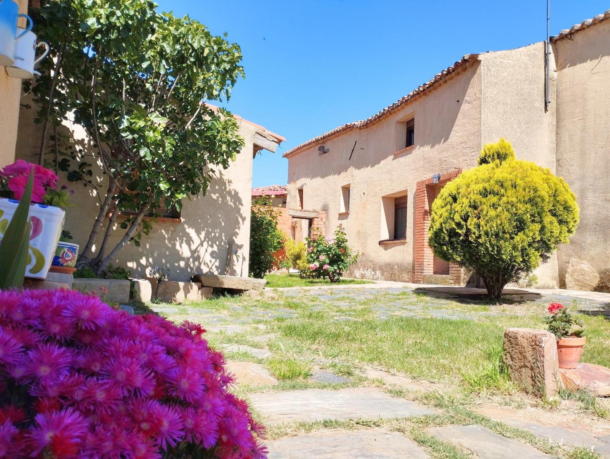 Casa Rural La Paloma - Zamora Manganeses de la Lampreana Εξωτερικό φωτογραφία